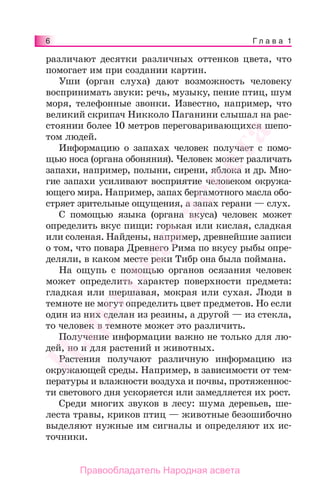 6 Г л а в а 1
различают десятки различных оттенков цвета, что
помогает им при создании картин.
Уши (орган слуха) дают возможность человеку
воспринимать звуки: речь, музыку, пение птиц, шум
моря, телефонные звонки. Известно, например, что
великий скрипач Никколо Паганини слышал на рас-
стоянии более 10 метров переговаривающихся шепо-
том людей.
Информацию о запахах человек получает с помо-
щью носа (органа обоняния). Человек может различать
запахи, например, полыни, сирени, яблока и др. Мно-
гие запахи усиливают восприятие человеком окружа-
ющего мира. Например, запах бергамотного масла обо-
стряет зрительные ощущения, а запах герани — слух.
С помощью языка (органа вкуса) человек может
определить вкус пищи: горькая или кислая, сладкая
или соленая. Найдены, например, древнейшие записи
о том, что повара Древнего Рима по вкусу рыбы опре-
деляли, в каком месте реки Тибр она была поймана.
На ощупь с помощью органов осязания человек
может определить характер поверхности предмета:
гладкая или шершавая, мокрая или сухая. Люди в
темноте не могут определить цвет предметов. Но если
один из них сделан из резины, а другой — из стекла,
то человек в темноте может это различить.
Получение информации важно не только для лю-
дей, но и для растений и животных.
Растения получают различную информацию из
окружающей среды. Например, в зависимости от тем-
пературы и влажности воздуха и почвы, протяженнос-
ти светового дня ускоряется или замедляется их рост.
Среди многих звуков в лесу: шума деревьев, ше-
леста травы, криков птиц — животные безошибочно
выделяют нужные им сигналы и определяют их ис-
точники.
Народная
асвета
Правообладатель Народная асвета
 