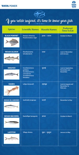 Know Your Fish
