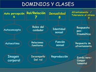 DOMINIOS Y CLASES
                                               Afrontamiento /
Auto percepción Rol/Relación   Sexualidad      Tolerancia al stress
       6             7              8                        9


                   Roles del                       Respuesta
Autoconcepto       cuidador      Identidad
                                                   pos-
                                   sexual
                                                   traumática


                  Relaciones       Función
 Autoestima                                       Respuesta de
                  familiares       sexual         afrontamiento



  Imagen          Desempeño     Reproducción       Estrés nero-
  corporal         Del rol                         Compor
                                                   tamental
 