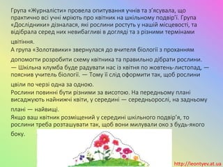 Група «Журналісти» провела опитування учнів та з’ясувала, що
практично всі учні мріють про квітник на шкільному подвір’ї. Група
«Дослідники» дізналася, які рослини ростуть у нашій місцевості, та
відібрала серед них невибагливі в догляді та з різними термінами
цвітіння.
А група «Золотавики» звернулася до вчителя біології з проханням
допомогти розробити схему квітника та правильно дібрати рослини.
— Шкільна клумба буде радувати нас із квітня по жовтень-листопад, —
пояснив учитель біології. — Тому її слід оформити так, щоб рослини
цвіли по черзі одна за одною.
Рослини повинні бути різними за висотою. На передньому плані
висаджують найнижчі квіти, у середині — середньорослі, на задньому
плані — найвищі.
Якщо ваш квітник розміщений у середині шкільного подвір’я, то
рослини треба розташувати так, щоб вони милували око з будь-якого
боку.
http://leontyev.at.ua
 