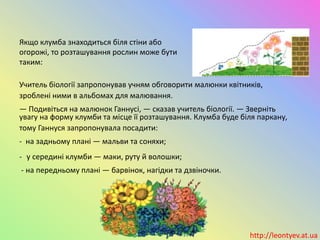 Учитель біології запропонував учням обговорити малюнки квітників,
зроблені ними в альбомах для малювання.
— Подивіться на малюнок Ганнусі, — сказав учитель біології. — Зверніть
увагу на форму клумби та місце її розташування. Клумба буде біля паркану,
тому Ганнуся запропонувала посадити:
- на задньому плані — мальви та соняхи;
- у середині клумби — маки, руту й волошки;
- на передньому плані — барвінок, нагідки та дзвіночки.
http://leontyev.at.ua
Якщо клумба знаходиться біля стіни або
огорожі, то розташування рослин може бути
таким:
 