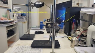 … και τοποθετούμε τις βάσεις του πειράματος.
 