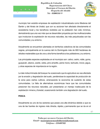 República de Colombia
Departamento del Choco
Municipio el Carmen del Darién
Despacho del Alcalde
Nit - 818001341-9
67
Todos por un nuevo Carmen del Darién
Email – municipiocarmendeldarien@hotmail.com
Teléfono – 3116307322
municipio han existido empresas de explotación industrializada como Maderas del
Darién y del Atrato de Urabá; que con su accionar han afectado directamente el
ecosistema local y los beneficios recibidos por la población han sido mínimos,
demostrando que una vez más que se desarrollan proyectos por las multinacionales
que involucran la explotación de recursos naturales, las más perjudicadas son las
comunidades y su entorno.
Actualmente se encuentran plantadas en territorios colectivos de las comunidades
negras, principalmente en la cuenca del río Domingodo más de 800 hectáreas de
árboles maderables que de una u otra forma beneficia a los pobladores y su entorno.
Las principales especies explotadas en el municipio son: cativo, cedro, roble, guina,
guayacán, abarco, aceite, ceiba, pino amarillo, peine mono, tachuelo, incive, jagua,
y otras especies de importancia en la región.
La tala indiscriminada del bosque ha ocasionado que la agricultura se vea afectada
por la erosión y degradación del suelo, perdiéndose la capacidad de producción de
la zona para ciertos cultivos, amenazando la economía de sustento de estas
comunidades. La falta de alternativas económicas hace que las comunidades
presionen los recursos naturales, por presentarse un manejo inadecuado de la
explotación minera y forestal, ocasionando también una degradación del suelo.
PESCA
Actualmente es uno de los sectores que posee una alta dinámica debido a que es
una de las fuentes de ingreso más directa, rápida y permanente que se da en el
 