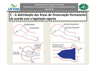 Departamento de Engenharia Florestal 
Laboratório de Conservação de Ecossistemas e Recuperação de Áreas 
Degradadas
C ‐ A delimitação das Áreas de Preservação Permanente
de acordo com a legislação vigentede acordo com a legislação vigente
 