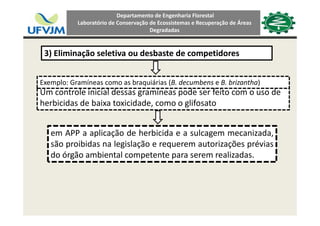 Departamento de Engenharia Florestal 
Laboratório de Conservação de Ecossistemas e Recuperação de Áreas 
Degradadas
3) Eliminação seletiva ou desbaste de competidores
Exemplo: Gramíneas como as braquiárias (B. decumbens e B. brizantha)
Um controle inicial dessas gramíneas pode ser feito com o uso de 
herbicidas de baixa toxicidade, como o glifosato
em APP a aplicação de herbicida e a sulcagem mecanizada,
são proibidas na legislação e requerem autorizações prévias
do órgão ambiental competente para serem realizadas.
 