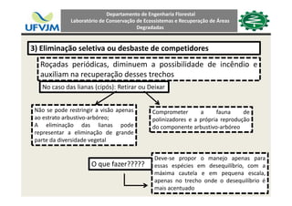 Departamento de Engenharia Florestal 
Laboratório de Conservação de Ecossistemas e Recuperação de Áreas 
Degradadas
3) Eliminação seletiva ou desbaste de competidores
Roçadas periódicas, diminuem a possibilidade de incêndio e
auxiliam na recuperação desses trechos
No caso das lianas (cipós): Retirar ou Deixar
Não se pode restringir a visão apenas
ao estrato arbustivo‐arbóreo;
A eliminação das lianas pode
Comprometer a fauna de
polinizadores e a própria reprodução
do componente arbustivo arbóreoA eliminação das lianas pode
representar a eliminação de grande
parte da diversidade vegetal
do componente arbustivo‐arbóreo
O que fazer?????
Deve‐se propor o manejo apenas para
essas espécies em desequilíbrio, com a
máxima cautela e em pequena escalamáxima cautela e em pequena escala,
apenas no trecho onde o desequilíbrio é
mais acentuado
 