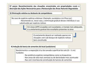 5º passo: Reconhecimento das situações encontradas em propriedades rurais e
descrição das Ações Necessárias para a Restauração das Áreas Naturais Degradadas
3) Eliminação seletiva ou desbaste de competidores
No caso de espécies exóticas arbóreas: (Exemplo: eucaliptos e os Pinus sp )No caso de espécies exóticas arbóreas: (Exemplo: eucaliptos e os Pinus sp.)
‐ Recomenda‐se, nesse caso, a eliminação gradual desses indivíduos e sua 
substituição por espécies nativas
Em áreas (APP) ocupadas com eucaliptais, o manejo mais adequado, 
é o anelamento gradual dos eucaliptos presentes na área
O anelamento deverá ser realizado apenas em 
situações com sub‐bosque de espécies nativas
bem constituídobem constituído
4) Indução do banco de sementes do local (autóctone)
Revolvimento e a exposição à luz da camada superficial do solo (0 – 5 cm)
Cuidados:
‐ Na existência espécies competidoras como as braquiáriasNa existência espécies competidoras como as braquiárias
‐ Nas áreas de solo mais arenoso ou de declividade mais acentuada
‐ Nas com incerteza da constituição de bancos de sementes 
 
