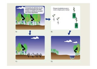 331481996 aula-6-rad-etapas-de-um-projeto-de-rad