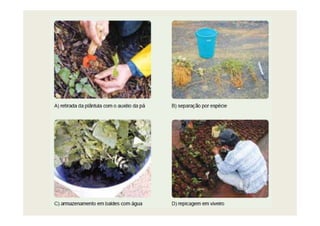 331481996 aula-6-rad-etapas-de-um-projeto-de-rad