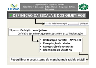 Departamento de Engenharia Florestal 
Laboratório de Conservação de Ecossistemas e Recuperação de Áreas 
Degradadas
Deve‐se estar atento a:
Disponibilidade de recursos e tempo
DEFINIÇÃO DA ESCALA E DOS OBJETIVOSp p
Escala Média ou Ampla                          pontual
2º passo: Definição dos objetivos:
Definição dos efeitos que se espera com a sua implantaçãoDefinição dos efeitos que se espera com a sua implantação 
Restauração florestal – APP’s e RL
Revegetação de taludes
Revegetação de voçorocas
Redefinição do uso da ADRedefinição do uso da AD 
Reequilibrar o ecossistema da maneira mais rápida e fácil
 