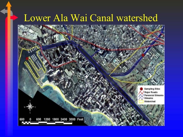 an analysis of the dredging of the ala wai canal The state of hawaii department of land and natural resources (dlnr) will hold a public information and environmental impact statement (eis) preparation notice scoping meeting for the ala wai canal dredging and improvement project on thursday, july 21. an analysis of the dredging of the ala wai canal The state of hawaii department of land and natural resources (dlnr) will hold a public information and environmental impact statement (eis) preparation notice scoping meeting for the ala wai canal dredging and improvement project on thursday, july 21.