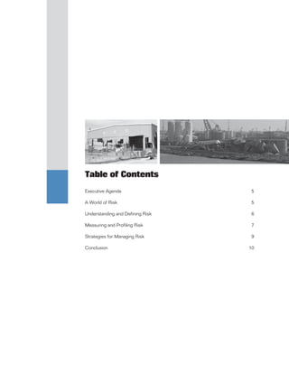 Table of Contents
Executive Agenda                  5

A World of Risk                   5

Understanding and Defining Risk   6

Measuring and Profiling Risk      7

Strategies for Managing Risk      9

Conclusion                        10
 