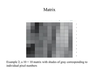 Matrix
Example 2; a 10 × 10 matrix with shades of gray corresponding to
individual pixel numbers
 