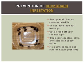 PREVENTION OF COCKROACH
      INFESTATION

              Keep your kitchen as
               clean as possible
              Do not leave food out
               overnight
              Get all food of f your
               counter tops
              Clean your counters, sink,
               and table with soapy
               water.
              Fix plumbing leaks and
               other moisture problems
 