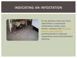 INDICATING AN INFESTATION


              If you believe that you have
              identified a cockroach
              infestation within your
              home, contact your Brevard
              County pest control
              professionals to discuss
              inspection and extermination
              options.
 