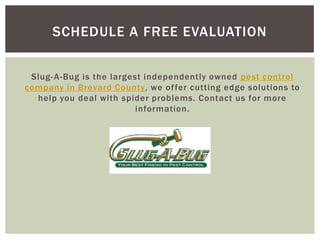 SCHEDULE A FREE EVALUATION


 Slug- A-Bug is the largest independently owned pest control
company in Brevard County, we of fer cutting edge solutions to
  help you deal with spider problems. Contact us for more
                          information.
 