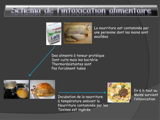 En 6 h tout au
Moins survient
l’intoxication
Des aliments à teneur protéique
Sont cuits mais les bactérie
Thermorésistantes sont
Pas forcément tuées
La nourriture est contaminée par
une personne dont les mains sont
souillées
Incubation de la nourriture
à température ambiant la
Nourriture contaminée par les
Toxines est ingérée
 