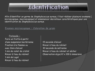 Afin d’identifier un germe de Staphylococcus aureus, il faut réaliser plusieurs examens (
microscopique, macroscopique) et ensemencer des milieux caractéristiques pour une
identification de Staphylococcus aureus.
Faire un frottis à partir
d’une suspension bactérienne 15 seconde d’alcool
Fixation à la flamme ou Rincer à l’eau du robinet
avec 2min d’alcool 30 seconde de safranine
1 min de violet de cristal Rincer à l’eau du robinet et sécher
Rincer à l’eau du robinet Observation objectif x 100 à immersion
1 min de Lugol
Rincer à l’eau du robinet
 