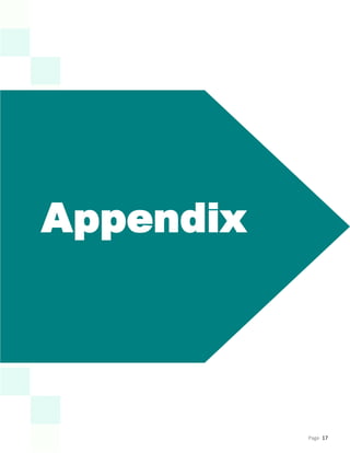Page 17
Appendix
 