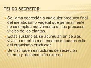 TEJIDO SECRETOR
 Se llama secreción a cualquier producto final
del metabolismo vegetal que generalmente
no se emplea nuevamente en los procesos
vitales de las plantas.
 Estas sustancias se acumulan en células
vivas o muertas o en meatos o pueden salir
del organismo productor.
 Se distinguen estructuras de secreción
interna y de secreción externa
 
