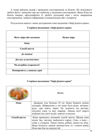 30
А тепер вийдемо надвір і проведемо спостереження за білкою. По можливості
зробіть фото і записуйте про все побачене у щоденник спостережень. Якщо білку ви
бачите вперше, сфотографуйте її, зробіть детальний опис і після завершення
спостереження знайдіть інформацію в енциклопедіях або з інтернету.
Результатом нашого з вами дослідження стане щоденник «Звірі рідного краю».
Сторінка щоденника «Звірі рідного краю»
Фото звіра або малюнок Назва звіра
Опис
Спосіб життя
Де мешкає
Догляд за потомством
Чи потрібно охороняти?
Поширеність у нашому краї
Сторінка щоденника “Звірі рідного краю”
Білка
Опис Довжина тіла близько 25 см. Білки бувають різних
кольорів. Забарвлення у неї може бути різне: вогняно-
руде, сіре навіть чорне. Це залежить від регіону,
погодніх умов та віку тварини. Линька всієї шерсті
відбувається двічі на рік: навесні та восени.
Спосіб життя Білка проводить активний спосіб життя. Щодня вона
шукає їжу, частину знайденого одразу з’їдає, а іншу—
ховає у схованці. Таким чином, робить запаси на зиму.
Якщо кількість запасів зменшується, то з самого ранку
білка вже йде на пошуки їжі.
 
