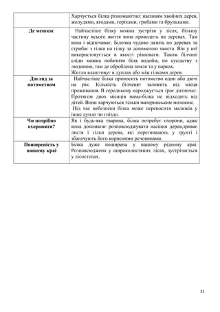 31
Харчується білка різноманітно: насінням хвойних дерев,
жолудями, ягодами, горіхами, грибами та бруньками.
Де мешкає Найчастіше білку можна зустріти у лісах, більшу
частину всього життя вона проводить на деревах. Там
вона і відпочиває. Білочка чудово лазить по деревах та
стрибає з гілки на гілку за допомогою хвоста. Він у неї
використовується в якості рівноваги. Також білчині
сліди можна побачити біля водойм, по сусідству з
людиною, там де оброблена земля та у парках.
Житло влаштовує в дуплах або між гілками дерев.
Догляд за
потомством
Найчастіше білка приносить потомство один або двічі
на рік. Кількість білченят залежить від місця
проживання. В середньому народжується троє дитинчат.
Протягом двох місяців мама-білка не відходить від
дітей. Вони харчуються тільки материнським молоком.
Під час небезпеки білка може переносити малюків у
інше дупло чи гніздо.
Чи потрібно
охороняти?
Як і будь-яка тварина, білка потребує охорони, адже
вона допомагає розповсюджувати насіння дерев,зриває
листя і гілки дерева, які перегнивають у ґрунті і
збагачують його корисними речовинами.
Поширеність у
нашому краї
Білка дуже поширена у нашому рідному краї.
Розповсюджена у широколистяних лісах, зустрічається
у лісостепах.
 