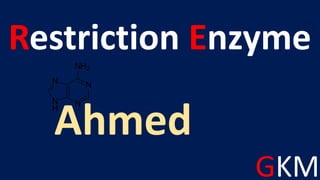 GKM
Restriction Enzyme
Ahmed
 