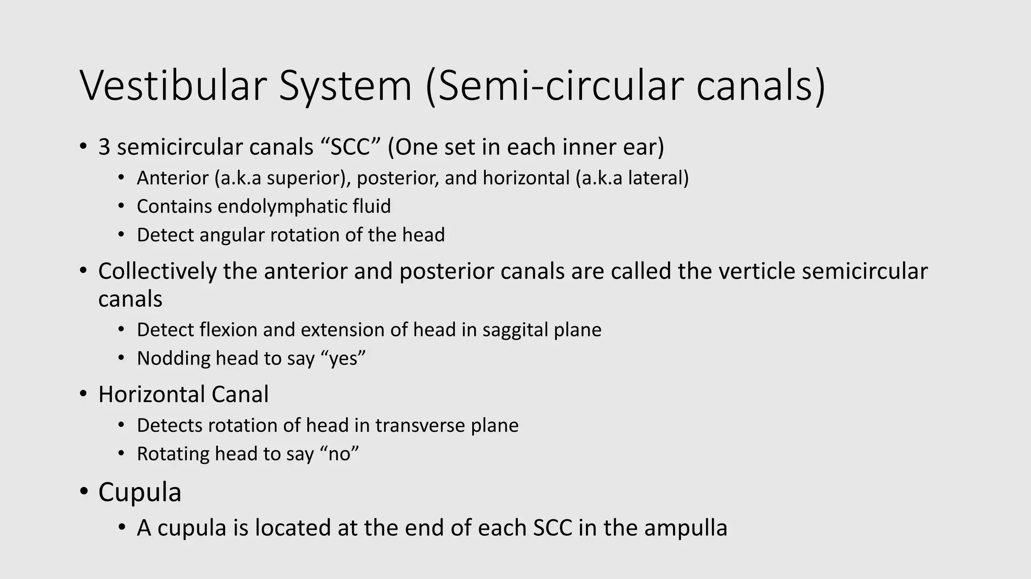 Vestibular System (Semi-circular canals)
• 3 semicircular canals “SCC” (One set in each inner ear)
• Anterior (a.k.a superior), posterior, and horizontal (a.k.a lateral)
• Contains endolymphatic fluid
• Detect angular rotation of the head
• Collectively the anterior and posterior canals are called the verticle semicircular
canals
• Detect flexion and extension of head in saggital plane
• Nodding head to say “yes”
• Horizontal Canal
• Detects rotation of head in transverse plane
• Rotating head to say “no”
• Cupula
• A cupula is located at the end of each SCC in the ampulla
 