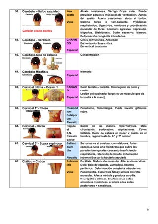 9
58. Cerebelo – Bulbo raquídeo
Cambiar cepillo dientes
New
castle
Virus
Ataxia cerebelosa. Vértigo Gripe aviar. Puede
provocar parálisis músculos de ventilación. Apnea
del sueño. Ataxia cerebelosa, ataca al bulbo.
Marcha torpe o tam-baleante. Problemas
respiratorios, digestivos, nerviosos y coordinación
muscular de tórax. Conducta agresiva. Depresión.
Migrañas. Dishidrosis. Sudor excesivo. Mareos.
Deformación congénita intrauterina.
59. Cerebelo – Cerebelo CHAPIN
GO
Especial
Crisis convulsivas. Ansiedad
En horizontal fase crítica.
En vertical bruxismo
60. Cerebelo-Cola de caballo Concentración
61. Cerebelo-Hipofisis
Especial
Memoria
62. Cervical última – Dorsal 1 PAISAN
O
Especial
Codo tenista – bursitis. Dolor agudo de codo y
cuello.
Lesión del supinador largo (es un músculo que da
la vuelta a la mano)
63. Cervical 1ª - Píloro Plasmod
ium
Folsipor
um
Parásito
Paludismo, fibromialgia. Puede invadir glóbulos
rojos.
64. Cervical – Sacro Regula
el
S.N.
Parasim
pático
Sudor de las manos. Hiperhidrosis. Mala
circulación, sudoración, palpitaciones. Colon
irritable. Dolor de cabeza en mujer y cuello en el
hombre, regula hasta la 6 ª y 7ª lumbar
65. Cervical 3ª - Supra espinoso Ballanti
dium
tifo
Parásito
Su toxina va al cerebro: convulsiones. Falsa
epilepsia. Crea una membrana que cubre las
paredes bronquiales causando insuficiencia
respiratoria, retención de líquido, inflamación
(edema) Buscar la bacteria asociada
66. Ciático – Ciático Poliomie
litis
Virus
Parálisis. Disfunción muscular. Alteración nerviosa.
Dolor bajo de espalda. Lumbalgia, neuritis
periférica. Deforma-ción congénita intrauterina.
Poliomielitis. Esclerosis falsa y simula distrofia
muscular. Afecta médula y produce atro-fia.
Neuropatías ciáticas. Si afecta a las astas
anteriores = motrices, si afecta a las astas
posteriores = sensitivas.
 