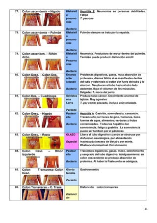 11
77. Colon ascendente – Hígado Klebsiell
a
pneumo
niae
Bacteria
Hepatitis E. Neumonías en personas debilitadas.
Fatiga
T. persona
78. Colon ascendente – Pulmón Klebsiell
a
pneumo
niae
Bacteria
Pulmón siempre se trata por la espalda.
79. Colon ascenden. – Riñón
dcho.
Klebsiell
a
Pneurno
niae
Bacteria
Neumonía. Productora de moco dentro del pulmón.
También puede producir disfunción eréctil
80. Colon Desc. – Colon Des. Enterob
ácter
cloacae
Bacteria
Problemas digestivos, gases, mala absorción de
proteí-nas, diarrea fétida si se manifiestan dentro
del tubo y estenosis si están por fuera del tubo y lo
ahorcan. Despla-zan el tubo hacía el otro lado
abdomen. Baja el volumen de los músculos.
Delgadez T. moco del perro
81. Colon Des. – Cuadriceps Schistos
ona
Larva
Parasito
Produce falso cáncer. Crecimiento anormal de
tejidos. Muy agresivo
T. por comer pescado, incluso atún enlatado.
82. Colon Desc. – Hígado Pasteur
ella
Bacteria
Hepatitis A .Gastritis, somnolencia, cansancio.
Transmisión por heces de gato, humanos, boca,
fuentes de agua, alimentos; verduras y frutas
contaminadas. Todas las hepatitis dan
somnolencia, fatiga y gastritis . La somnolencia
puede ser también por el páncreas
83. Colon Desc. – Recto OLAZO
Especial
Libera el tubo digestivo cuando se obstruye por
disfunción neurológica, por alimentación
inadecuada (exceso de dieta) y por estrés.
Obstrucción intestinal. Estreñimiento
84. Colon Desc. – Riñon
izquierdo
Pasteur
ella
Bacteria
Trastornos digestivos, gases, moco, estreñimiento
y sangrado del tubo digestivo. Adelgazamiento: en
colon descendente se produce absorción de
proteínas. Al haber la Pasteurella se adelgaza.
85. Colon Transverso–Colon
Desc.
Giarda
lamblia
Parasito
Gastroenteritis
86. Colon Transverso – C. Trans.
Disfunci
ón
Disfunción colon transverso
 