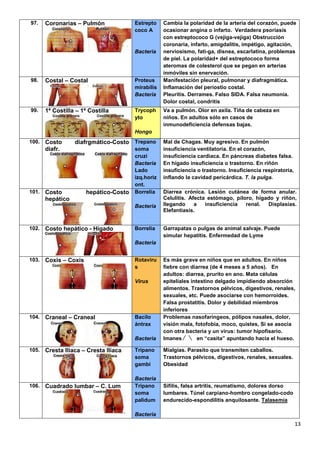 13
97. Coronarias – Pulmón Estrepto
coco A
Bacteria
Cambia la polaridad de la arteria del corazón, puede
ocasionar angina o infarto. Verdadera psoriasis
con estreptococo G (vejiga-vejiga) Obstrucción
coronaria, infarto, amigdalitis, impétigo, agitación,
nerviosismo, fati-ga, disnea, escarlatina, problemas
de piel. La polaridad+ del estreptococo forma
ateromas de colesterol que se pegan en arterias
inmóviles sin enervación.
98. Costal – Costal Proteus
mirabilis
Bacteria
Manifestación pleural, pulmonar y diafragmática.
Inflamación del periostio costal.
Pleuritis. Derrames. Falso SIDA. Falsa neumonía.
Dolor costal, condritis
99. 1ª Costilla – 1ª Costilla Trycoph
yto
Hongo
Va a pulmón. Olor en axila. Tiña de cabeza en
niños. En adultos sólo en casos de
inmunodeficiencia defensas bajas.
100. Costo diafrgmático-Costo
diafr.
Trepano
soma
cruzi
Bacteria
Lado
izq.horiz
ont.
Mal de Chagas. Muy agresivo. En pulmón
insuficiencia ventilatoria. En el corazón,
insuficiencia cardiaca. En páncreas diabetes falsa.
En hígado insuficiencia o trastorno. En riñón
insuficiencia o trastorno. Insuficiencia respiratoria,
inflando la cavidad pericárdica. T. la pulga.
101. Costo hepático-Costo
hepático
Borrelia
Bacteria
Diarrea crónica. Lesión cutánea de forma anular.
Celulitis. Afecta estómago, píloro, hígado y riñón,
llegando a insuficiencia renal. Displasias.
Elefantiasis.
102. Costo hepático - Hígado Borrelia
Bacteria
Garrapatas o pulgas de animal salvaje. Puede
simular hepatitis. Enfermedad de Lyme
103. Coxis – Coxis Rotaviru
s
Virus
Es más grave en niños que en adultos. En niños
fiebre con diarrea (de 4 meses a 5 años). En
adultos: diarrea, prurito en ano. Mata células
epiteliales intestino delgado impidiendo absorción
alimentos. Trastornos pélvicos, digestivos, renales,
sexuales, etc. Puede asociarse con hemorroides.
Falsa prostatitis. Dolor y debilidad miembros
inferiores
104. Craneal – Craneal Bacilo
ántrax
Bacteria
Problemas nasofaríngeos, pólipos nasales, dolor,
visión mala, fotofobia, moco, quistes, Si se asocia
con otra bacteria y un virus: tumor hipofisario.
Imanes en “casita” apuntando hacia el hueso.
105. Cresta Iliaca – Cresta Iliaca Tripano
soma
gambi
Bacteria
Mialgias. Parasito que transmiten caballos.
Trastornos pélvicos, digestivos, renales, sexuales.
Obesidad
106. Cuadrado lumbar – C. Lum Tripano
soma
palidum
Bacteria
Sífilis, falsa artritis, reumatismo, dolores dorso
lumbares. Túnel carpiano-hombro congelado-codo
endurecido-espondilitis anquilosante. Talasemia
 