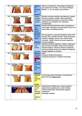 16
125. Duodeno – Riñón izquierdo Chlamy
dia
tracoma
tis
Bacteria
Afecta la coagulación: hemorragias en digestivo
que pueden ser mortales. Si va al ojo: Pterigion.
Miomas T. por vía uretral: ríos, piscinas
126. Epigastrio – Epigastrio Giardia
Lamblia
Parásito
protozo
o
Diarreas mucosas, pútrida, mala absorción, gases,
anorexia, nauseas, vómitos, dolor abdominal.
Causa deficiencia proteica y vitamínica. Se fija y
reproduce en el intestino. Por alimentos
contaminados.
127. Epiplón – Epiplón Estafiloc
oco
Albus
Bacilo
Bacteria
Produce toxinas alcalinizan la piel y predispone a
acné vulgar. Chequear si hay que poner el par en el
mismo lado, uno debajo del otro.
128. Escápula – Escápula Mycoba
cte-rium
leprae.
Bacteria
Es muy agresiva, causa del verdadero cáncer. Piel:
necrosis. Ojo: catarata. Pulmón: rompe el alveolo y
enfisema. Esófago: úlceras. Ano: hemorroides
varicosas. Tobillo: úlceras varicosas negruzcas.
Tumores malignos
129. Esófago – Esófago Fasciolo
psis
burski
Parasito
Problema traqueal, digestivo, cardiaco, obstruye el
flujo normal en el hígado. Falsa ulcera duodenal.
Fasciola hepática. Anorexia. Produce cadaverina,
toxina que puede causar convulsiones. Problemas
traqueal, digestivo y cardíaco.
130. Esofago-Duodeno Mycoba
cte-rium
Leprae
Reservo
rio
Bacteria
Lepra.
Chequear Escápula-Escápula y
Triángulo de Escarpa -Triángulo de Escarpa.
131. Esófago – Píloro Clostridi
um
perfring
ens
Bacteria
132. Esófago – Vejiga izquierda Histopla
sma
capsulat
um
Hongo
Va el hongo directo al pulmón, se trasmite por
guano de aves. Buscar virus
133. Esternocleidomastoideo-ECM Disfunci
ón del
sist.
nervioso
simpátic
o
Disfunci
ón
Alteraciones del SNS como: mala circulación,
sudoraciones, palpitaciones, colon irritable.
Presión arterial baja. Pereza de los órganos
autónomos:
estomago ,intestino
 