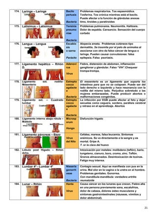 21
174. Laringe – Laringe Bacilo
pertusis
Bacteria
Problemas respiratorios. Tos espasmódica.
Tosferina. Tos crónica mientras está el bacilo.
Puede afectar a la función de glándulas anexas
timo, tiroides y paratiroides
175. Latisimus – Latisimus Yersinia
pneumo
niae
Bacteria
Problemas pulmonares. Neumonitis. Halitosis.
Dolor de espalda. Cansancio. Sensación del cuerpo
cortado
176. Lengua – Lengua Escabio
sis
o sarna
Parásito
Alopecia areata. Problemas cutáneos tipo
dermatitis. Se trasmite por el pelo de animales al
asociarse con otro da falso cáncer de lengua o
laringe. Pueden causar convulsiones: falsa
epilepsia. Falsa psoriasis.
177. Ligamento hepático – Riñón
D.
Adenovi
rus
Virus
Fiebre, distensión de abdomen, inflamación
ganglionar y glandular. Falso “VIH”.Chequear
trompa-trompa.
178. Ligamento ext. rodilla-
Mesenterio
Estrepto
cocco
agalacte
a
Bacteria
El mesenterio es un ligamento que soporta los
intestinos para que no se colapsen. Puede ser del
lado derecho o izquierdo y hace resonancia con la
rodilla del mismo lado. Perjudica sobretodo a las
mujeres embarazadas. Puede producir abortos o
malformaciones congénitas.
179. Ligamento ext. – Cuadrado
lumbar
Estrepto
cocco
agalacte
a
Bacteria
La infección por EGB puede afectar al feto y dejar
secuelas como ceguera, sordera, parálisis cerebral
y retraso en el aprendizaje. Abortos
180. Ligamento interno abajo rótula –
Maléolo
Microsp
orum
Hongo
Disfunción hígado
181. Ligamento páncreas – Bazo
Virus
del Nilo
Cefalea, mareos, falsa leucemia. Síntomas
anémicos. Se va directamente a la sangre y es
mortal. Gripe A.
T. or la clara del huevo
182. Lóbulo post Hígado – Riñón
dcho.
Intoxicación por metales: molibdeno (teflón), bario,
tungsteno, cianuro, boro, cromo, zinc. Teflón.
Granos almacenados. Desintoxicación de toxinas.
Fatiga muy intensa.
183. Lumbar 4ª - Lumbar 4ª Nisseria
gonorrh
oeae
Bacteria
Contagio sexual. Aquí se manifiesta con pus en la
orina. Mal olor en la vagina o la uretra en el hombre.
Problemas genitales. Gonorrea.
Con mandíbula-mandíbula: verdadera artritis
reumatoide
184. Lunar – Riñón Hanta
Virus
Causa cáncer en los lunares que crecen. Fiebre alta
en una persona previamente sana, escalofríos,
dolor de cabeza, dolores osteo musculares y
síntomas gastrointestinales (náuseas, vómitos y
dolor abdominal).
 