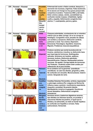 26
229. Parietal – Parietal Encefalit
is
Virus
Cambiar
cepillo
de
dientes
Enfermad del sueño o fiebre cerebral, desquicio y
secreción de mucosas y lagrimas. Falsa esclerosis.
Si se asocia con hongo es muy grave porque éste
comprime el cerebro. Trastornos SNC y del habla.
Dolor crónico cabeza, vómito, sensibilidad luz,
confusión mental, torpeza, irritabilidad, rigidez
cuello y espalda. Deformación congénita ínter
uterina. T. cuadrúpedos, perros y gatos.Moquillo
Dis-
temper
canino
(en el
animal)
230. Parietal – Riñón contralateral GOIZ
Especial
Acortam
iento
miembr
o inf.
Chequea polaridades, acortamiento de un miembro
inferior que se debe corregir. Si no se corrige es
fisiológico. Congestión renal, pesadez de cabeza
con sordera y cansancio. Disfunción cerebral,
pulmonar o renal. Tos crónica. Depresión.
Emocional. Psicológico. Equilibrio. Insomnio.
Migraña. Problemas músculo-esqueléticos
231. Parótida – Parótida LOLITA
Especial
Produce carotina que excita la producción de
tirosina, calcitonina e insulina, su disfunción hace
que haya baja de hormonas. Sublinguales,
salivales, fenómeno sin hambre, apáticos.
Anorexia, bulimia. Disfunción glandular.
Descalcificación. Paperas. Resequedad extrema
mucosas. Da apetito. Corrige bajada de hormonas.
Ver Pudendo - Pudendo suelen estar unidos por
inflamación de la para tiroides.
232. Párpado – Párpado Neisseri
a
catarrali
s
Bacteria
Si se combina con la gonorrea (mandíbula-
mandíbula) se caen los dientes, gingivitis y otitis.
Se confunde con sinusitis. Mononucleosis. Catarro
común. Sangrado de nariz.
233. Pericardio – Pericardio Estafiloc
oco
áureo
coagula
sa
Bacteria
Costillas flotantes Pericarditis, arritmia, taquicardia
y pato-logía cardiaca (Por coágulos de fibrina) Se
inflama y pasa a pulmón: insuficiencia respiratoria.
Angustia y ansiedad. De-presión bipolar.
Manifestación inicial en la garganta. Escolio-sis
dorsal ideopática. Deformación congénita
intrauterina.
234. Perihepático- Perihepático Morgane
lla tifo
Bactéria
Por
carne y
marisco
mal
cocido
Anorexia severa, trastornos digestivos severos,
tipo tifoidea con diarreas severas, en pruebas a
reacciones febriles da positivo, al igual que la
tifoidea y la salmonella, se mete en borde hepático:
se confunde con hepatitis o cirrosis. Falsa
salmonelosis. Horizontal.
 