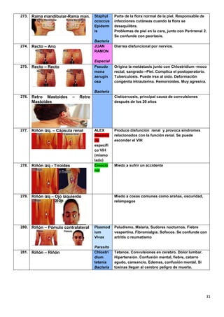 31
273. Rama mandibular-Rama man. Staphyl
ococcus
Epiderm
is
Bacteria
Parte de la flora normal de la piel. Responsable de
infecciones cutáneas cuando la flora se
desequilibra.
Problemas de piel en la cara, junto con Perirrenal 2.
Se confunde con psoriasis.
274. Recto – Ano JUAN
RAMON
Especial
Diarrea disfuncional por nervios.
275. Recto – Recto Pseudo
mona
aerugin
osa
Bacteria
Origina la metástasis junto con Chlostridium -moco
rectal, sangrado –Piel. Complica el postoperatorio.
Tuberculosis. Puede irse al oído. Deformación
congénita intrauterina. Hemorroides. Muy agresiva.
276. Retro Mastoides – Retro
Mastoides
Cisticercosis, principal causa de convulsiones
después de los 20 años
277. Riñón izq. – Cápsula renal ALEX
Reservo
rio
específi
co VIH
(mismo
lado)
Produce disfunción renal y provoca síndromes
relacionados con la función renal. Se puede
esconder el VIH
278. Riñón izq - Tiroides Emocio
nal
Miedo a sufrir un accidente
279. Riñón izq – Ojo izquierdo Miedo a cosas comunes como arañas, oscuridad,
relámpagos
280. Riñón – Pómulo contralateral Plasmod
ium
Vivax
Parasito
Paludismo, Malaria. Sudores nocturnos. Fiebre
vespertina. Fibromialgia. Sofocos. Se confunde con
artritis o reumatismo
281. Riñón – Riñón Chlostri
dium
tetania
Bacteria
Tétanos. Convulsiones en cerebro. Dolor lumbar.
Hipertensión. Confusión mental, fiebre, catarro
agudo, cansancio. Edemas, confusión mental. Si
toxinas llegan al cerebro peligro de muerte.
 