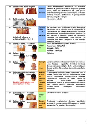 6
30. Borde costal dcho.- Hígado
Borrelia,
Bacteria
Causa enfermedades zoonóticas en humanos.
Hepatitis K, principal causa de displasias (uterina,
cerviz, mama der.) Enfermedad de Lyme que da
síntomas de fatiga crónica. Fibromialgia. Esclerosis
múltiple. Celulitis. Elefantiasis T. principalmente
por las garrapatas y piojos.
31. Botón aórtico – Pericardio Hipertensión arterial
32. Braquial – Braquial
Unilateral, bilateral o
unilateral doble(- +)y(+ -)
Estrepto
cocos
A
Bacteria
Se manifiesta con problemas en piel. Dermatitis.
Escarlatina. Si se combina con el estreptococo G
(vejiga-vejiga) nos da Psoriasis autentica. Garganta.
Misma bacteria en Coronaria-Pulmón. Impactar a la
vez. Persona a persona. Puede dar problemas
cardiacos y/o pulmonares. Dolor articular. Se
confunde con sarna (lengua-l) y con pitiriasis
versicolor (tibia-t)
33. Bronquio dcho. – Cerebelo
Emocio
nal
Miedo a quedarse loco, perder la razón
Asociar con ROTULA (2)
RIÑON I. – OJO I.
RIÑON I. – TIROIDES
34. Bulbo – Bulbo Alzheimer
35. Bulbo – Tiroides Meningit
is
Virus
Lesiones en la medula espinar inferior produciendo
virus flacidez, hipotrofia, debilidad, invalidez.
Simula esclerosis múltiples .Dolor lumbar radicular.
Simula también fibromialgia. Meningitis viral. Falso
Alzheimer
36. Bulbo raquídeo – Cerebelo
Cambiar cepillo dientes y no
comer pollo en 15 días
Newcast
le virus
Se
transmit
e por
carne de
pollo
poco
hecha.
Problemas de equilibrio: Ataxia cerebelosa; todo se
mueve. Equilibrio de posición, de lo que nos rodea,
marcha tambaleante, mareo-conducta agresiva,
coor-dinación muscular de tórax. Patrón de
lenguaje entre-cortado (disartria)
Movimientos súbitos y descoordinados Problemas
para caminar (marcha inestable) Movimientos
oculares súbitos (nistagmo) Insuficiencia
ventilatoria
37. Bulbo raquídeo – Corazón
Emocio
nal
Crueldad. Reacción psicótica
38. Bulbo – Vejiga Dengue
hemorrá
gico
Virus
Trastornos respiratorios. Secretan cantidades
grandes de mucoproteinas. Al impactar es posible
que vomite. Por picadura de mosquito.
 