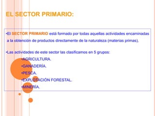 EL SECTOR PRIMARIO:
•El SECTOR PRIMARIO está formado por todas aquellas actividades encaminadas
a la obtención de productos directamente de la naturaleza (materias primas).
•Las actividades de este sector las clasificamos en 5 grupos:
•AGRICULTURA.
•GANADERÍA.
•PESCA.
•EXPLOTACIÓN FORESTAL.
•MINERÍA.
 
