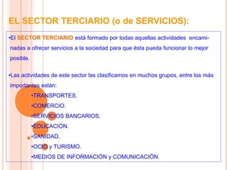 EL SECTOR TERCIARIO (o de SERVICIOS):
•El SECTOR TERCIARIO está formado por todas aquellas actividades encami-
nadas a ofrecer servicios a la sociedad para que ésta pueda funcionar lo mejor
posible.
•Las actividades de este sector las clasificamos en muchos grupos, entre los más
importantes están:
•TRANSPORTES.
•COMERCIO.
•SERVICIOS BANCARIOS.
•EDUCACIÓN.
•SANIDAD.
•OCIO y TURISMO.
•MEDIOS DE INFORMACIÓN y COMUNICACIÓN.
 