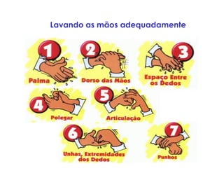 Lavando as mãos adequadamente
 