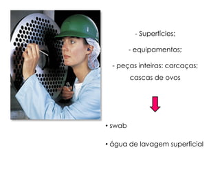 - Superfícies;
- equipamentos;
- peças inteiras: carcaças;
cascas de ovos
• swab
• água de lavagem superficial
 
