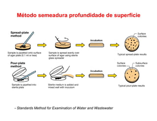 - Standards Method for Examination of Water and Wastewater
Método semeadura profundidade de superfície
 