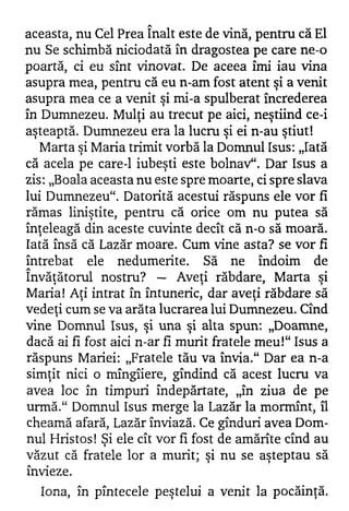  Despre suferinta de T.Popescu(carte)