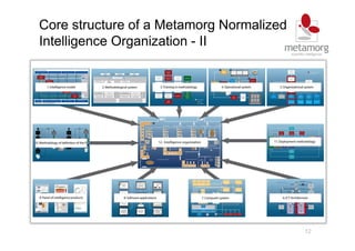 12
Core structure of a Metamorg Normalized
Intelligence Organization - II
 