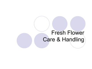 Fresh Flower
Care & Handling
 