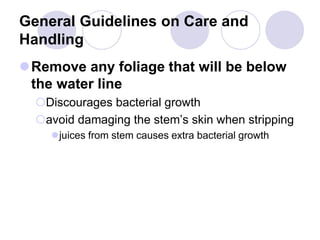 General Guidelines on Care and
Handling
Remove any foliage that will be below
the water line
Discourages bacterial growth
avoid damaging the stem’s skin when stripping
juices from stem causes extra bacterial growth
 