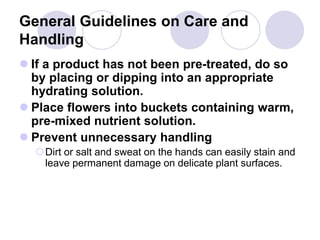 General Guidelines on Care and
Handling
 If a product has not been pre-treated, do so
by placing or dipping into an appropriate
hydrating solution.
 Place flowers into buckets containing warm,
pre-mixed nutrient solution.
 Prevent unnecessary handling
Dirt or salt and sweat on the hands can easily stain and
leave permanent damage on delicate plant surfaces.
 