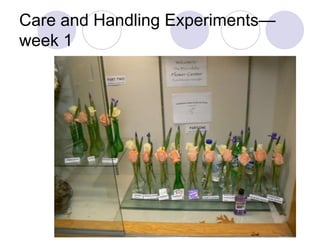 Care and Handling Experiments—
week 1
 
