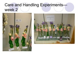 Care and Handling Experiments—
week 2
 