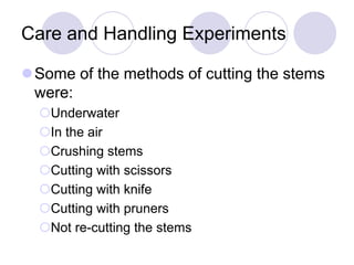Care and Handling Experiments
Some of the methods of cutting the stems
were:
Underwater
In the air
Crushing stems
Cutting with scissors
Cutting with knife
Cutting with pruners
Not re-cutting the stems
 