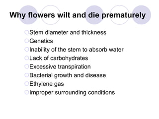 Why flowers wilt and die prematurely
Stem diameter and thickness
Genetics
Inability of the stem to absorb water
Lack of carbohydrates
Excessive transpiration
Bacterial growth and disease
Ethylene gas
Improper surrounding conditions
 